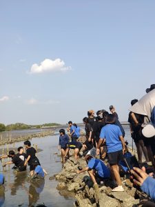 20260315_civil_mangrove_volunteer_08
