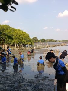 20260315_civil_mangrove_volunteer_13