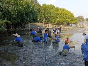 20260315_civil_mangrove_volunteer_18