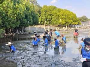 20260315_civil_mangrove_volunteer_23