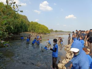 20260315_civil_mangrove_volunteer_27