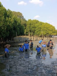 20260315_civil_mangrove_volunteer_35