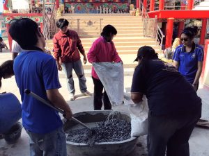 20260315_civil_mangrove_volunteer_41