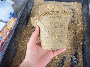 20260723_rice_straw_upcycling_03